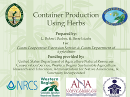 Container Production Using Herbs Presentation