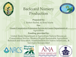Backyard Nursery Production Presentation