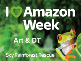 Art & DT - Sky Rainforest Rescue