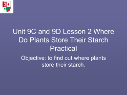 Unit 9C and 9D Lesson 2 Where Do Plants Store Their