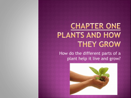 Chapter One Plants and How They Grow