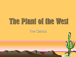 The_Plant_of_the_West