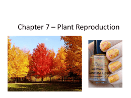 Chapter 7 – Plant Reproduction