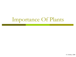 Importance Of Plants