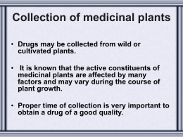 Collection of medicinal plants