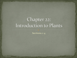 Chapter 22: Introduction to Plants