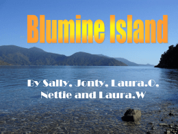 Blumine Island - SustainableBlumine