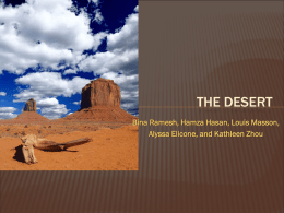 Animal Life in the Desert