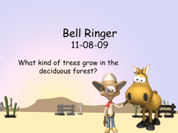Bell Ringer 11-08-09