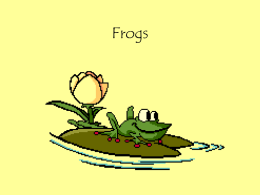 Frogs - bailey