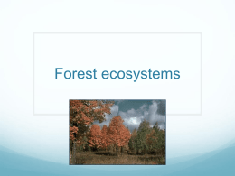 Forest ecosystems - IBGeography