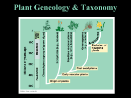 Plant Geneology & Taxonomy