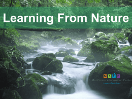 Learning From Nature Plants
