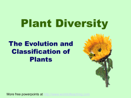 Plant Divisions ppt basic