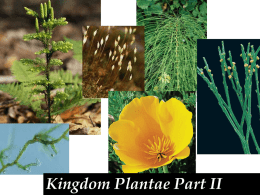 Survey of the Phyla- Plantae IION