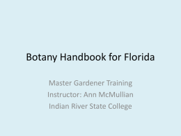 Botany Presentation - St. Lucie County Extension Office
