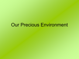 Our Precious Environment