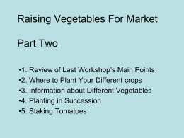 Raising Vegetables For Market