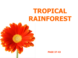 tropical rainforest,2014 - GE-sec2i-2014