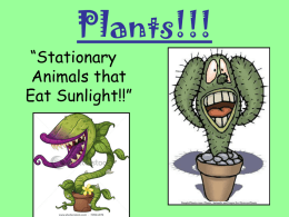 Plants!!! - Fort Bend ISD