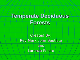 temperate deciduous forest - HGC