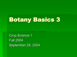 Botany Basics 3