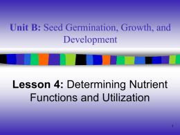 NutrientFunctions-English