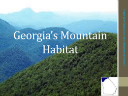 Mountain Habitat