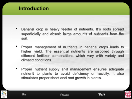 RLO Title: Nutrient Management In Banana