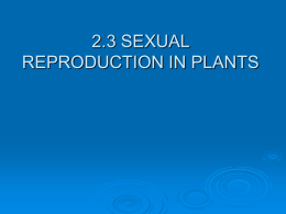 2-3 Sexual Rep`n in Plants