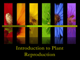 LE - 6 - Plant Reproduction