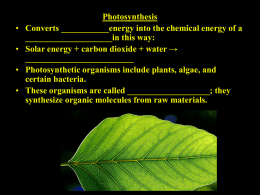 Photosynthesis Student Notes