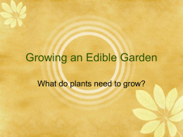 Growing an Edible Garden