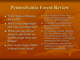 Pennsylvania Forest Review