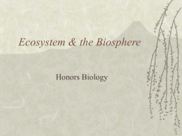 Ecosystem & the Biosphere