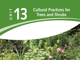 POWER_AND_TECH_files/Unit 13 - Cultural Practices for Trees and