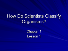 Science Ch. 1 notes - Mrs. Gann`s 6th grade class