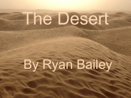 The Desert - repetto5.com