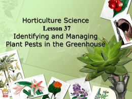 What are the major pests found in the greenhouse?