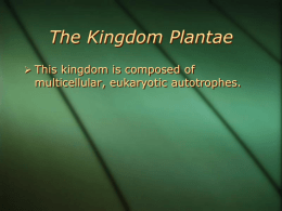 Kingdom Plantae - Valhalla High School