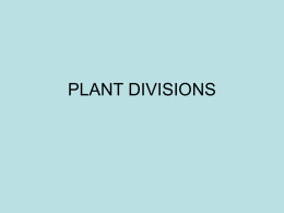 PLANT DIVISIONS