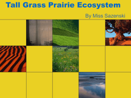 Prairie Ecosystem - Intel-2009