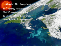 Chapter 22-Ecosystems and the Biosphere