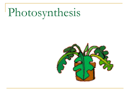 Photosynthesis Power Point 2