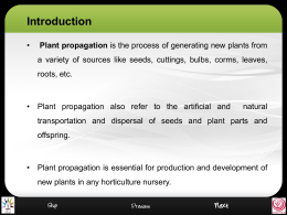 RLO Importance of Plant Propagation in Horticulture