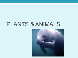 Plant and Animal Notes 2015