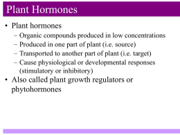 Plant Hormones - Langdon Biology