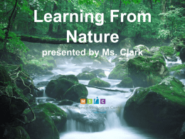 Learning From Nature presented by Ms. Clark Plants