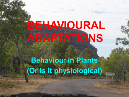 BEHAVIOURAL ADAPTATIONS PLANTS