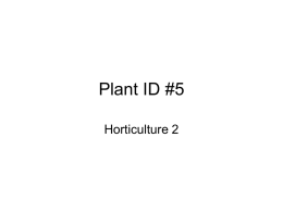 Plant ID #5